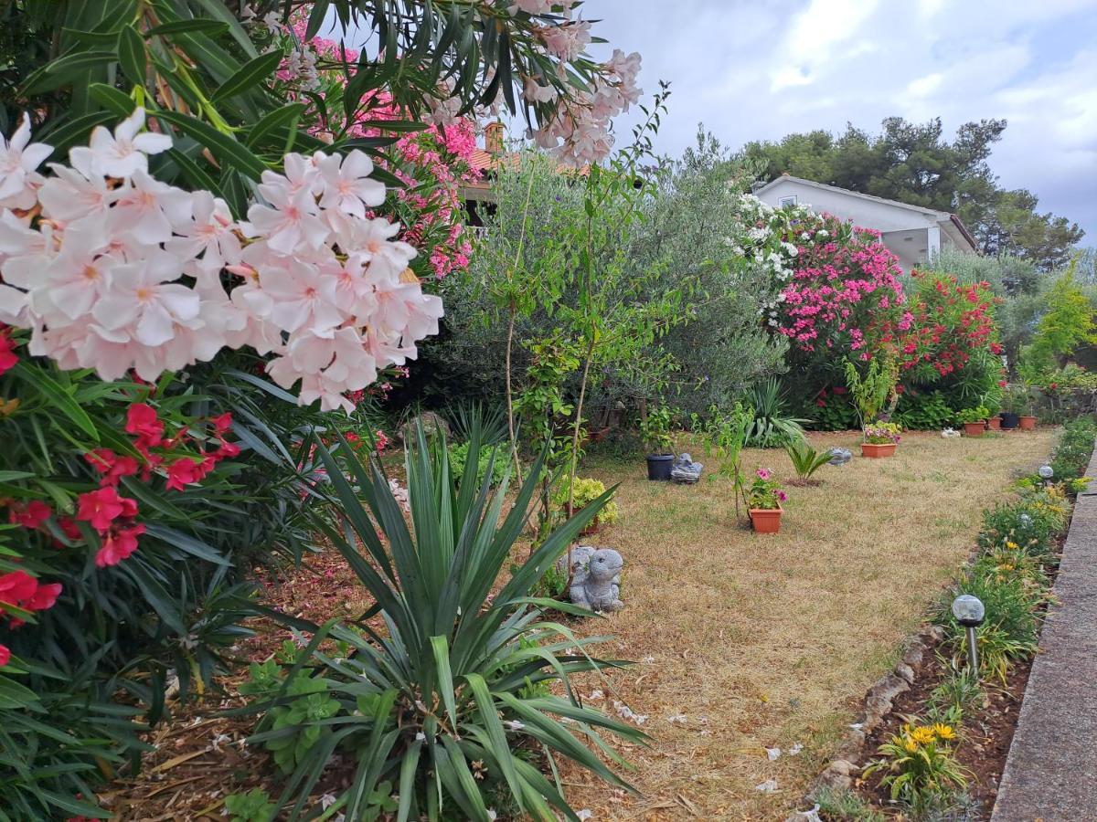 קרק Studio Apartments Maslinik מראה חיצוני תמונה